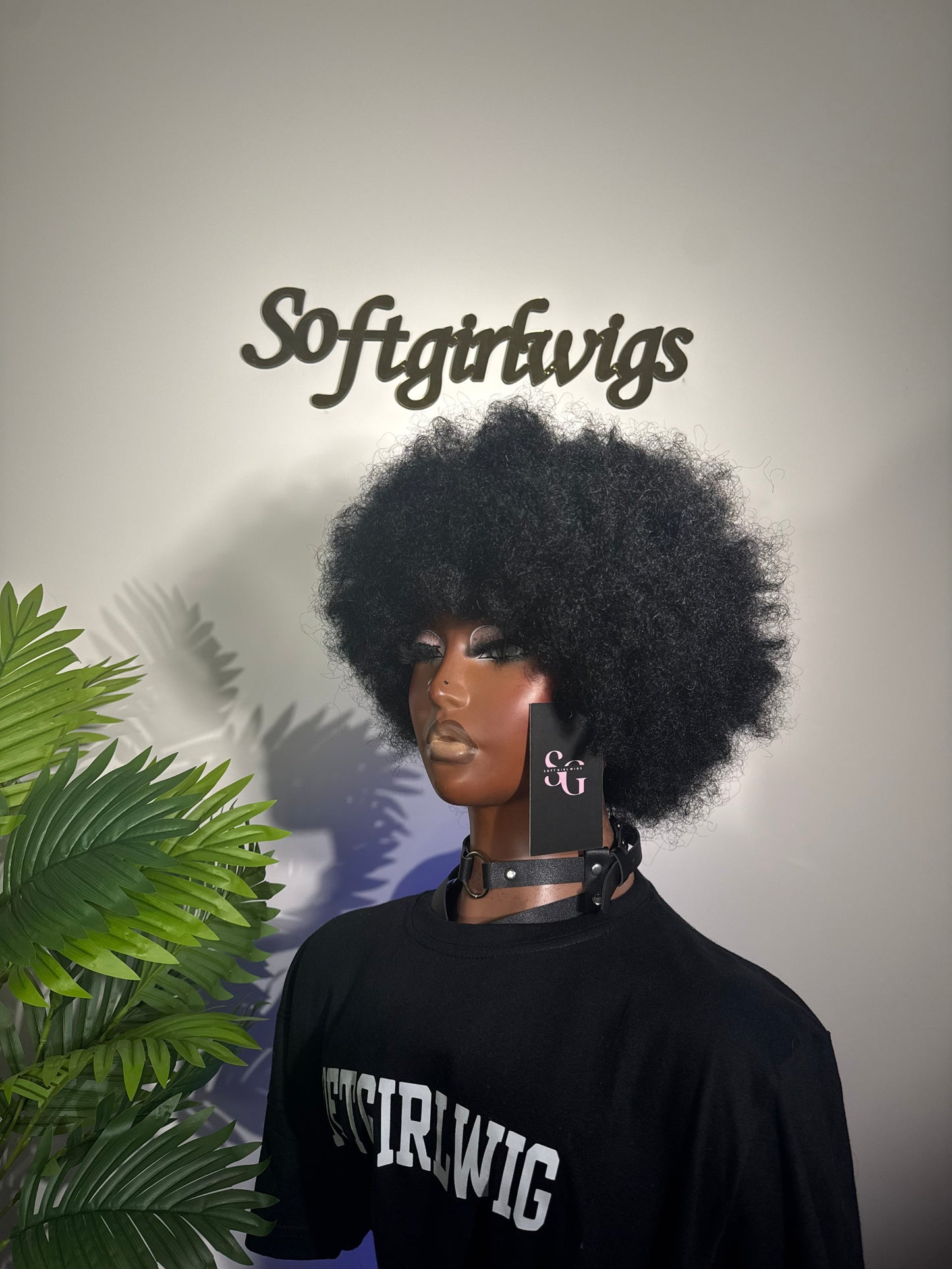 The Halo Afro – Luxury Coily Wig