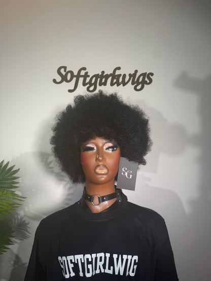 The Halo Afro – Luxury Coily Wig